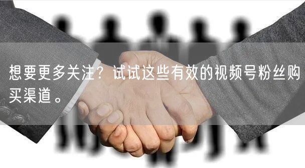 想要更多关注?试试这些有效的视频号粉丝购买渠道。