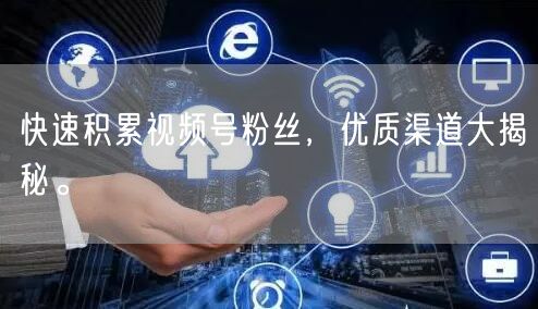 快速积累视频号粉丝，优质渠道大揭秘。