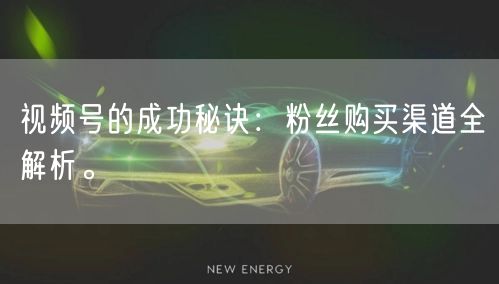 视频号的成功秘诀：粉丝购买渠道全解析。