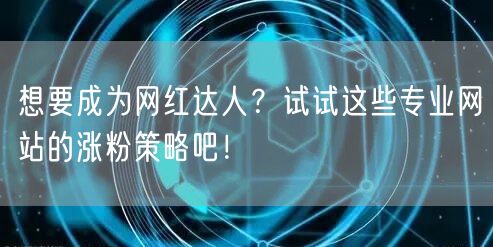 想要成为网红达人？试试这些专业网站的涨粉策略吧！