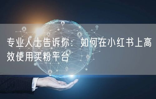 专业人士告诉你:如何在小红书上高效使用买粉平台