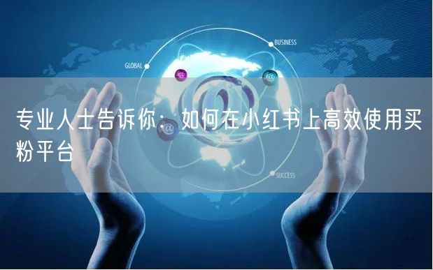 专业人士告诉你:如何在小红书上高效使用买粉平台