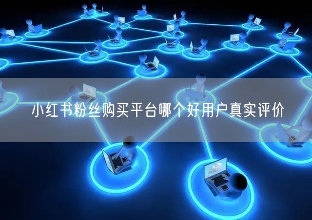 小红书粉丝购买平台哪个好用户真实评价