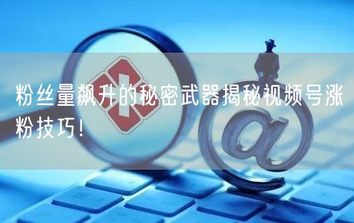 粉丝量飙升的秘密武器揭秘视频号涨粉技巧!
